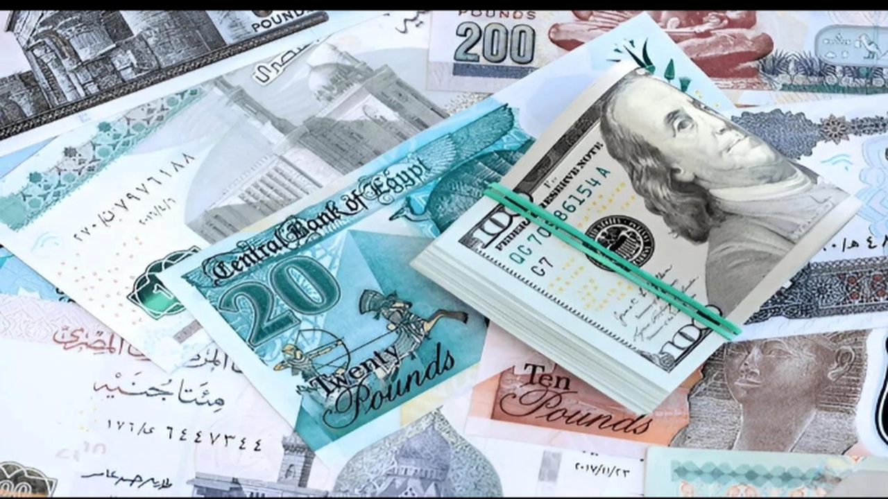 استقرار الدولار واليورو أمام الجنيه المصري في أسعار العملات اليوم